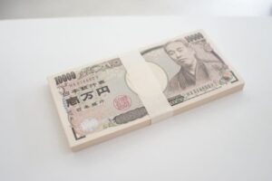 移住支援、子1人100万円　来年度、支援金を加算　政府