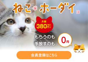 月額380円「ねこホーダイ」に批判続出 審査・トライアルなしの譲渡に「命が軽く扱われるのでは」
