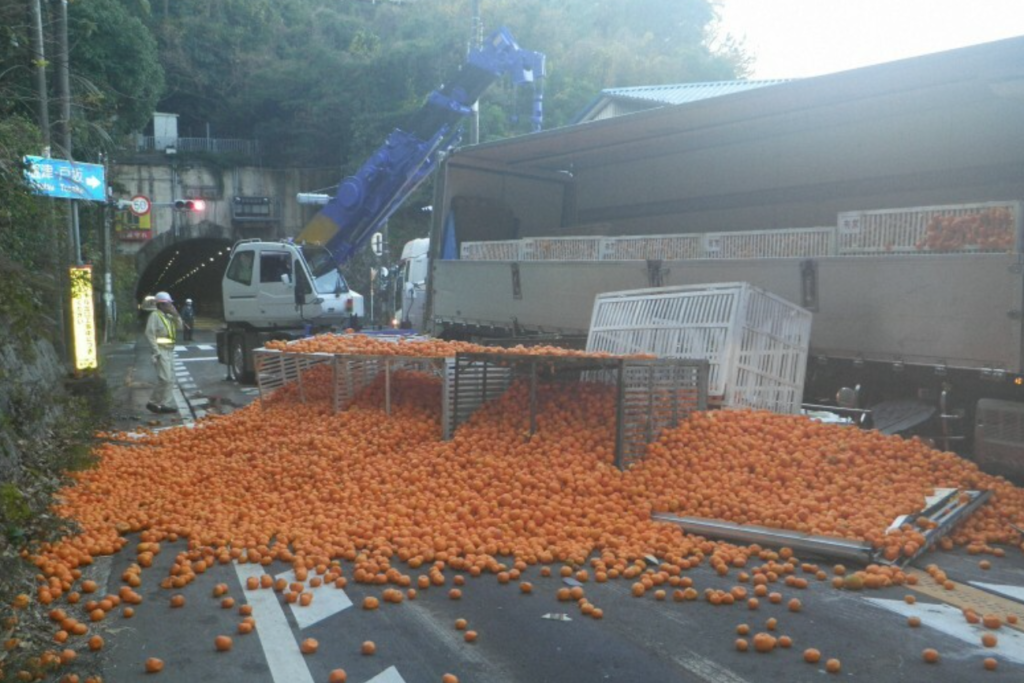 ミカン10トン散乱、国道6時間通行止め　和歌山でトラック横転