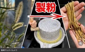 生物系YouTuberのホモサピ、猫じゃらしからラーメンを作る　圧倒的な完成度に驚きの声多数