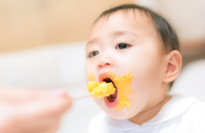 福岡市、第2子以降の保育料無償化 所得制限なし 23年度から