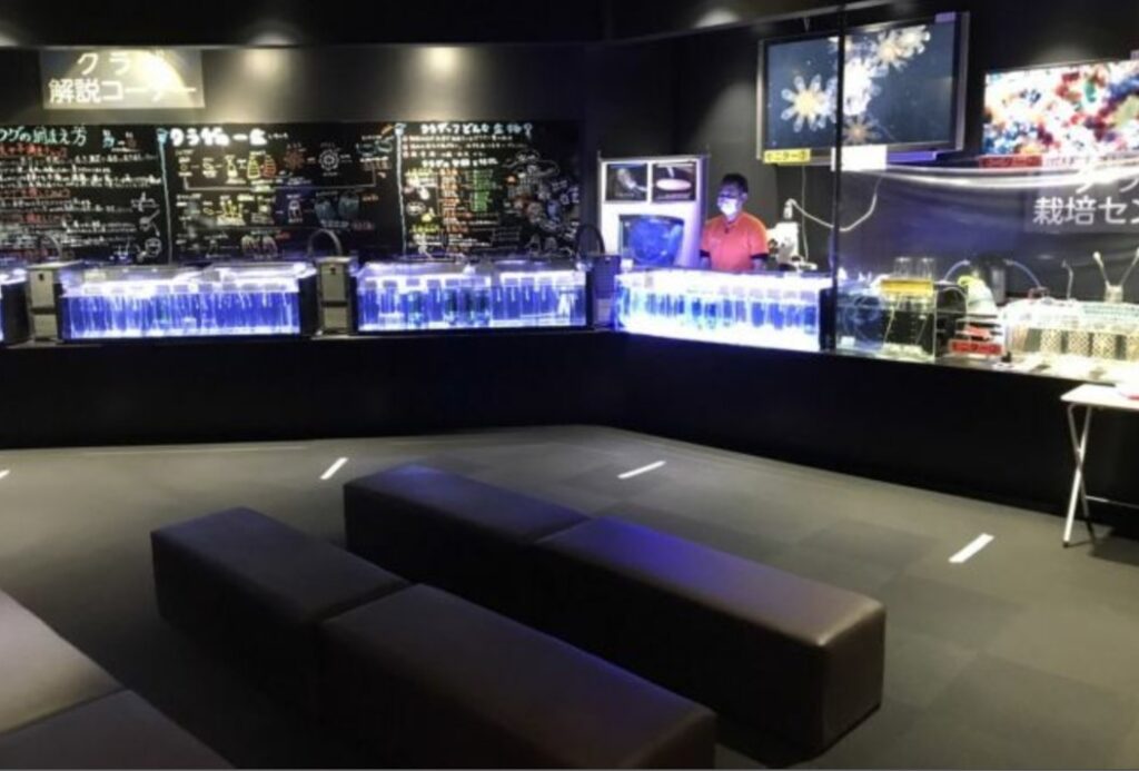 1時間たっても入館者ゼロです…　水族館が悲壮ツイート、その後どうなった？　投稿した担当者に聞きました