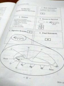 【それは無いだろ…】英語に「クマムシ」、倫理に「親ガチャ」 共通テスト、SNSで話題